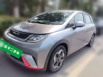 BYD Dolphin · 2023 год
