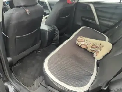 Toyota RAV4 2018, 75400 км, за 8853.55 USD - фото 11