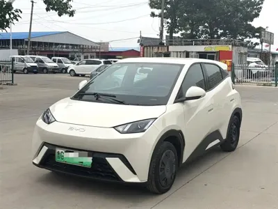 BYD Seagull · 2025 год