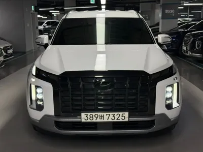 Hyundai Palisade · 2023 год