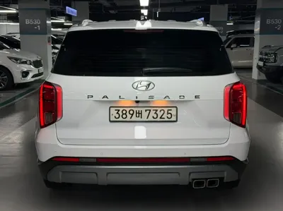 Hyundai Palisade 2023, 118867 км, за 17257.45 USD