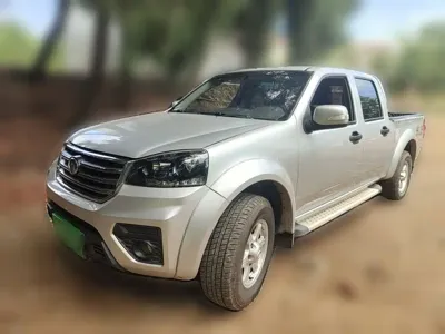 Great Wall Fengjun 5 2020, 81600 км, за 9314.12 USD
