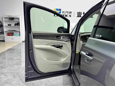 Denza Denza D9 2023, 43099 км, за 29334.76 USD