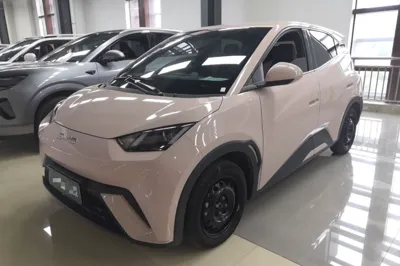BYD Seagull · 2024 год