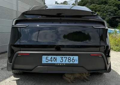 Tesla Model Y 2025, 23000 км, за 28766.61 USD
