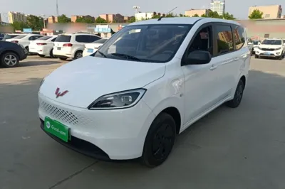 Wuling Hongguang New Energy · 2025 год