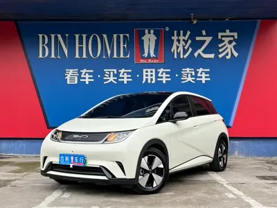 BYD Dolphin · 2023 год