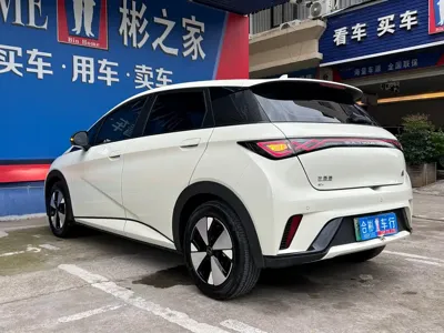BYD Dolphin 2023, 20000 км, за 8558.43 USD - фото 8