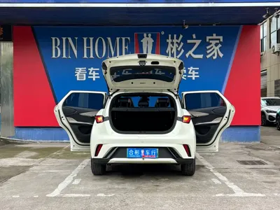 BYD Dolphin 2023, 20000 км, за 8558.43 USD - фото 9
