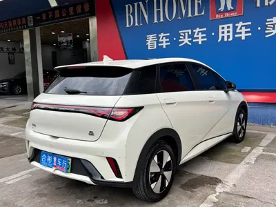BYD Dolphin 2023, 20000 км, за 8558.43 USD - фото 11