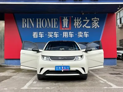 BYD Dolphin 2023, 20000 км, за 8558.43 USD - фото 16