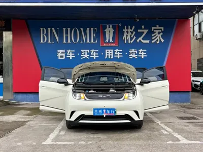 BYD Dolphin 2023, 20000 км, за 8558.43 USD - фото 17