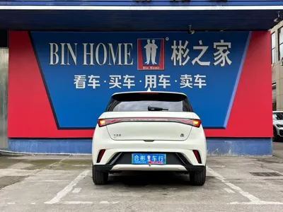 BYD Dolphin 2023, 20000 км, за 8558.43 USD - фото 18