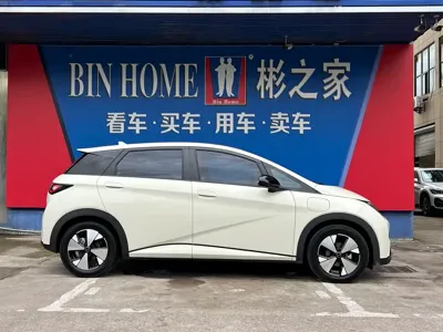 BYD Dolphin 2023, 20000 км, за 8558.43 USD - фото 22