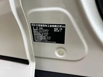 BYD Dolphin 2023, 20000 км, за 8558.43 USD - фото 25