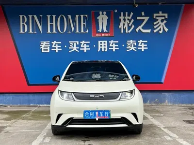 BYD Dolphin 2023, 20000 км, за 8558.43 USD - фото 31