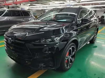 BYD Tang New Energy · 2022 год