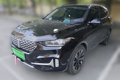 WEY VV6 · 2020 год