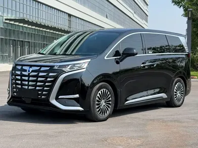 Denza Denza D9 · 2024 год