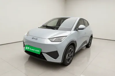 BYD Seagull · 2025 год