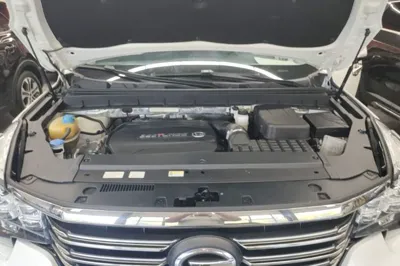 GAC Trumpchi GS8 2020, 79100 км, за 11650 USD - фото 24