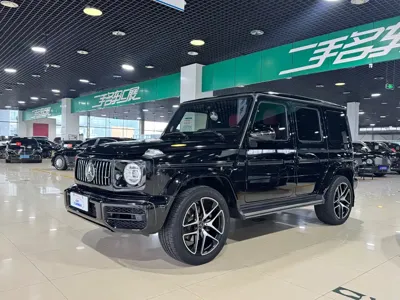 Mercedes-Benz G-Class · 2018 год
