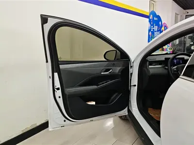 BYD Qin Plus 2025, 36700 км, за 12513.02 USD - фото 7