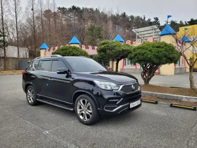 KG_Mobility_Ssangyong Rexton 2019, 53058 км, за 11703.11 USD - фото 7