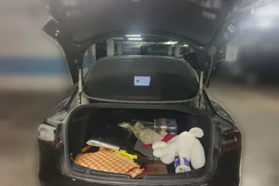 Tesla Model 3 2020, 49200 км, за 17745 USD - фото 19