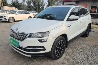 Skoda Karoq · 2019 год