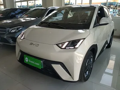 BYD Seagull · 2025 год