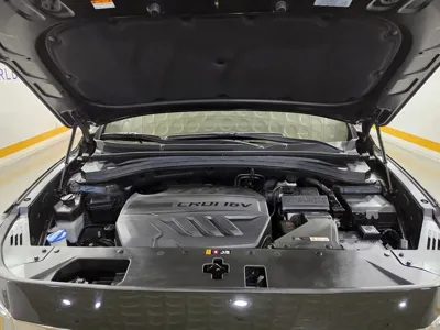 Hyundai Santafe 2019, 65520 км, за 13521.41 USD - фото 20