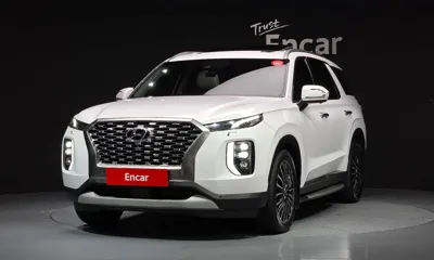 Hyundai Palisade · 2019 год