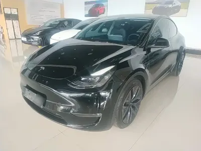 Tesla Model Y · 2024 год
