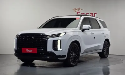 Hyundai Palisade · 2024 год