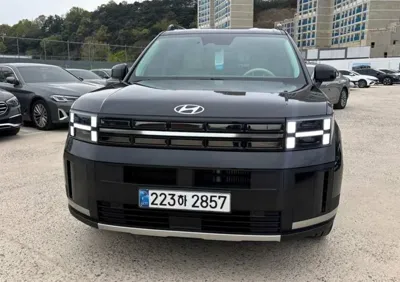 Hyundai Santafe · 2024 год