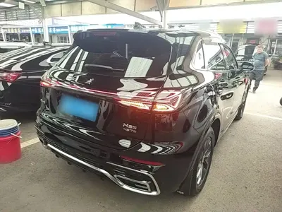 Hongqi Hongqi HS5