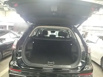 Hongqi Hongqi HS5