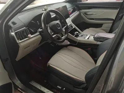 BYD PLUS New Energy 2023, 88400 км, за 11509.61 USD - фото 9