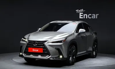 Lexus NX · 2025 год