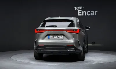 Lexus NX 2025, 46916 км, за 32177.07 USD