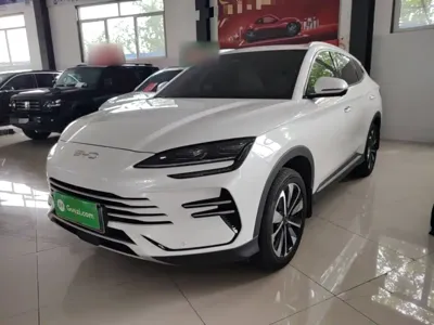 BYD PLUS New Energy 2025, 7800 км, за 15098.22 USD