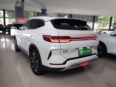 BYD PLUS New Energy 2025, 7800 км, за 15098.22 USD