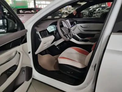 BYD PLUS New Energy 2025, 7800 км, за 15098.22 USD - фото 16