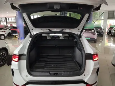 BYD PLUS New Energy 2025, 7800 км, за 15098.22 USD - фото 19