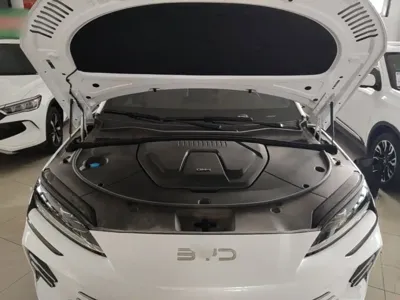 BYD PLUS New Energy 2025, 7800 км, за 15098.22 USD - фото 20
