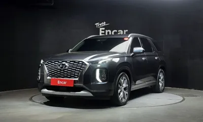 Hyundai Palisade · 2019 год