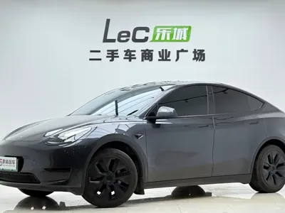 Tesla Model Y · 2024 год