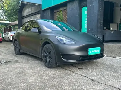 Tesla Model Y 2024, 63000 км, за 26344.85 USD