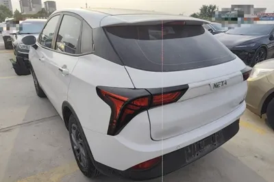 NETA V 2021, 35900 км, за 7208 USD
